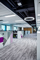 Shared Path на акустической основе Echo Acoustic 924 фото 3 | FLOORDEALER